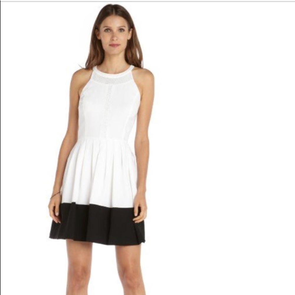 NWT! Ali Ro brand new dress!